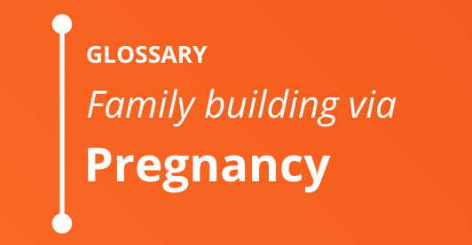 Glossary – Family Formation via Pregnancy