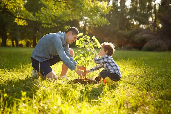 Dad and child planting a tree